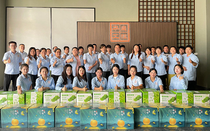 Κίνα Shenzhen Huasheng Industrial Control CO.,LTD Εταιρικό Προφίλ